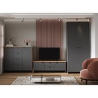 Тумба под ТВ «Теодора», 1440×421×500 мм, цвет графит/крафт золотой - Фото 3