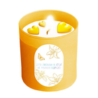 Свечи своими руками. Создание свечей с формовыми элементами, набор для творчества - Фото 1