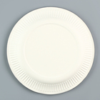 Одноразовая посуда: тарелка бумажная «С днём рождения» радуга, 23 см - Фото 3