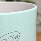 Горшок цветочный "Мяун"  9,5 л, зеленый - фото 24298362