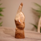 Сувенир «Коза», 15×7×25 см, дерево - Фото 5