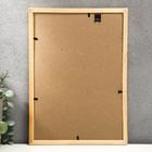 Фоторамка 21х30 (3N92) бесцветная (пластиковый экран) - Фото 4