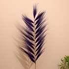 Сухоцвет на бамбуковом стебле 250 см фиолетовый - Фото 2
