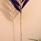 Сухоцвет на бамбуковом стебле 250 см фиолетовый - Фото 4