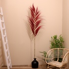 Сухоцвет на бамбуковом стебле 250 см бордовый - Фото 1