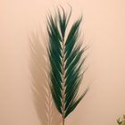 Сухоцвет на бамбуковом стебле 250 см зелёный - Фото 2