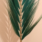 Сухоцвет на бамбуковом стебле 250 см зелёный - Фото 3
