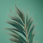 Сухоцвет на бамбуковом стебле, 250 см, зелёный - Фото 4