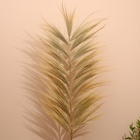Сухоцвет на бамбуковом стебле 250 см песочный - Фото 2