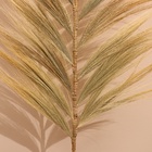 Сухоцвет на бамбуковом стебле 250 см песочный - Фото 3