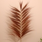 Сухоцвет на бамбуковом стебле 250 см кирпичный - Фото 2