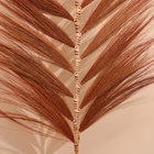 Сухоцвет на бамбуковом стебле 250 см кирпичный - Фото 3