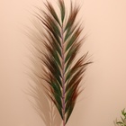 Сухоцвет на бамбуковом стебле 250 см разноцветный - Фото 2