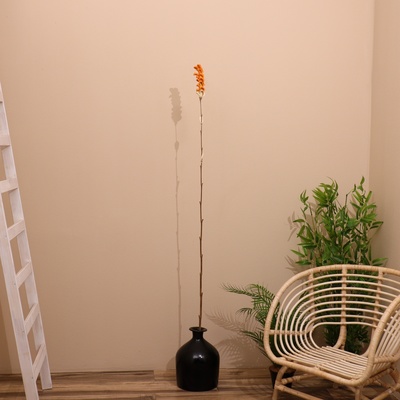 Сухоцвет на бамбуковом стебле, 150 см, оранжевый