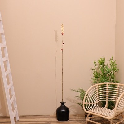 Сухоцвет на бамбуковом стебле, 150 см, белый