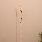 Сухоцвет на бамбуковом стебле 150 см белый - фото 11315474