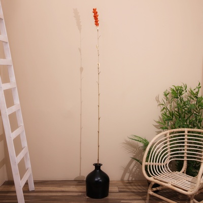 Сухоцвет на бамбуковом стебле, 150 см, коралловый