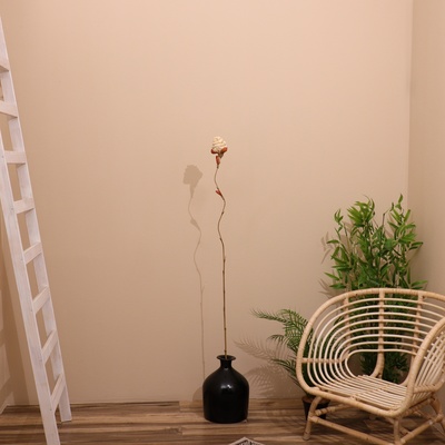 Сухоцвет на бамбуковом стебле, 150 см, белый