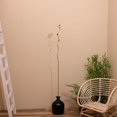 Сухоцвет на бамбуковом стебле, 150 см, белый