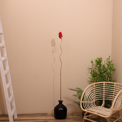 Сухоцвет на бамбуковом стебле, 150 см, красный