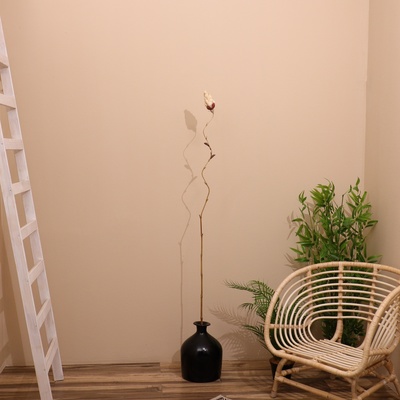 Сухоцвет на бамбуковом стебле, 150 см, белый