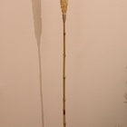 Сухоцвет "Пати" 180 см натуральный - Фото 4