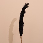 Сухоцвет "Пати" 180 см черный - Фото 3