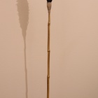 Сухоцвет "Пати" 180 см черный - Фото 4