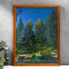 Фоторамка 30х40 (3N26) клен (пластиковый экран) - Фото 1