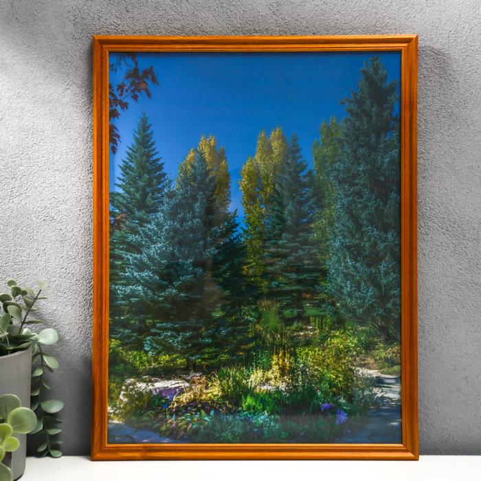 Фоторамка 30х40 (3N26) клен (пластиковый экран) - Фото 1