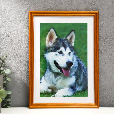 Фоторамка для фото 21×30 Anahi, клён, (пластиковый экран)