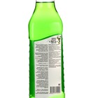 Сироп Мята, 1 л - фото 24102060