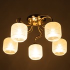 Люстра потолочная Бетти 5х40Вт Е14 Хром 54x54x29 см - фото 24324086