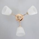 Люстра потолочная Элли 3х40Вт Е27 Золото 52x52x30 см - фото 24324140