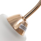 Люстра потолочная Элли 3х40Вт Е27 Золото 52x52x30 см - фото 24324143