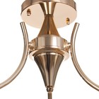 Люстра потолочная Элли 3х40Вт Е27 Золото 52x52x30 см - фото 24324144