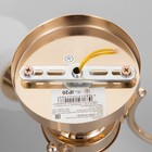 Люстра потолочная Элли 3х40Вт Е27 Золото 52x52x30 см - фото 24324145