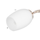 Люстра потолочная Кера 5х60Вт Е14 Золото 56x56x18 см - фото 24324158