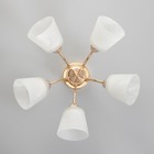 Люстра потолочная Элли 5х40Вт Е27 Золото 52x52x30 см - фото 24324187