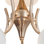 Люстра потолочная Элли 5х40Вт Е27 Золото 52x52x30 см - фото 24324191