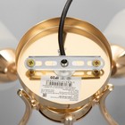 Люстра потолочная Элли 5х40Вт Е27 Золото 52x52x30 см - фото 24324192