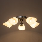 Люстра потолочная «Кэтти», 5×40 Вт Е27, хром, 55×55×25 см - Фото 3