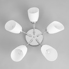 Люстра потолочная «Кэтти», 5×40 Вт Е27, хром, 55×55×25 см - Фото 4