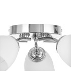 Люстра потолочная «Кэтти», 5×40 Вт Е27, хром, 55×55×25 см - Фото 7