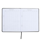 Дневник универсальный для 1-11 класса Gravity, интегральная обложка, искусственная кожа, шелкография, ляссе, 80 г/м2 - фото 24416404