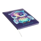 Дневник универсальный для 1-11 класса Owl, твёрдая обложка, искусственная кожа, с поролоном, ляссе, 80 г/м2 - Фото 2
