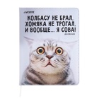 Дневник универсальный для 1-11 класса "Колбасу не брал", твёрдая обложка, искусственная кожа, с поролоном, ляссе, 80 г/м2 - фото 301555181