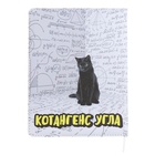 Дневник универсальный для 1-11 класса "Колбасу не брал", твёрдая обложка, искусственная кожа, с поролоном, ляссе, 80 г/м2 - Фото 13
