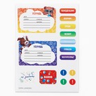 Подарочный набор, 18 предметов «Выпускник» - Фото 9