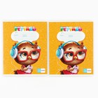 Подарочный набор, 18 предметов «Выпускник» - Фото 5